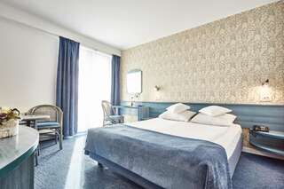 Отель Continental Forum Tirgu Mures Тыргу-Муреш Двухместный номер бизнес-класса с 1 кроватью-10